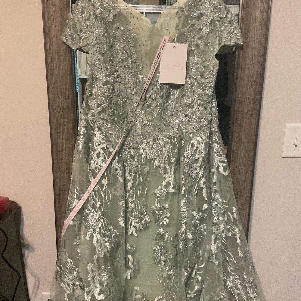 Mac Duggal Sage Green Lace Appliqué Evening Gown NWT
